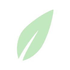 Leaf Icon