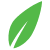 Celina Leaf