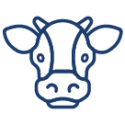 Cow Icon