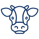 Cow Icon